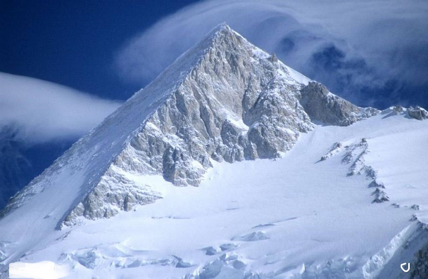 Flower Shops & Boutiques